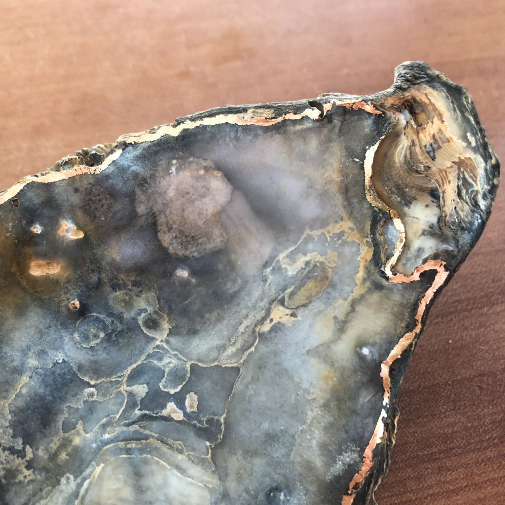 Seraina's Oyster Art gilding shells