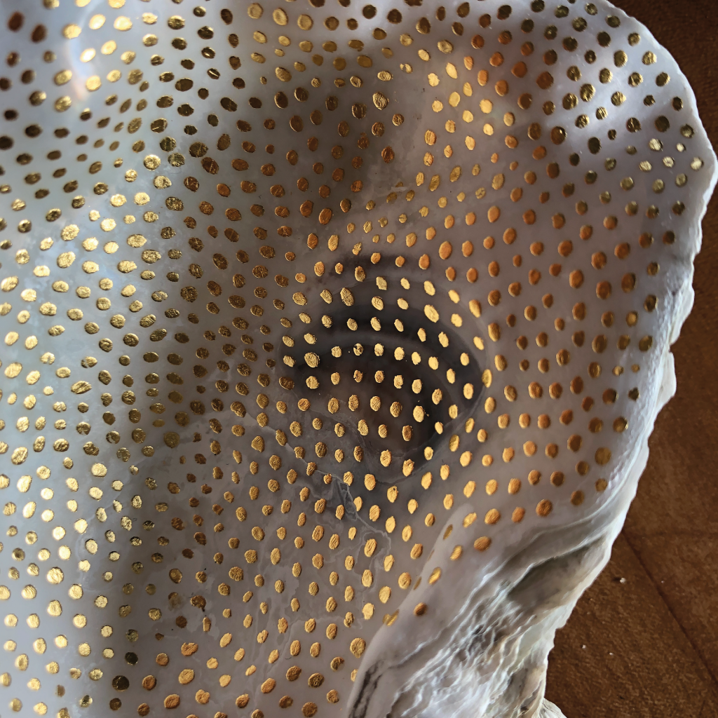 gilded shell by margate shells uk