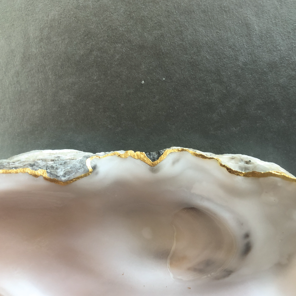 oyster_outline_detail