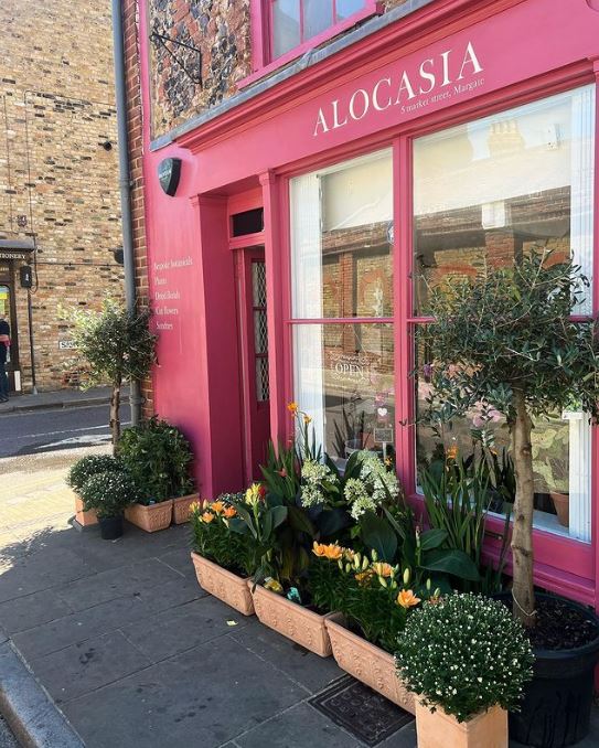 Modern shop front design and signwriting Seraina London